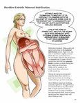The Anatomy & Physiology of Unbirthing Artist - Groblek - Im
