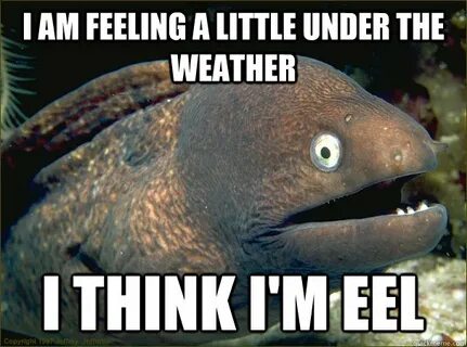 i am feeling a little under the weather i think i'm eel - Ba