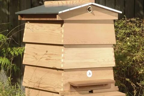 Best bee hives to buy for your garden Bee supplies, Top bar 