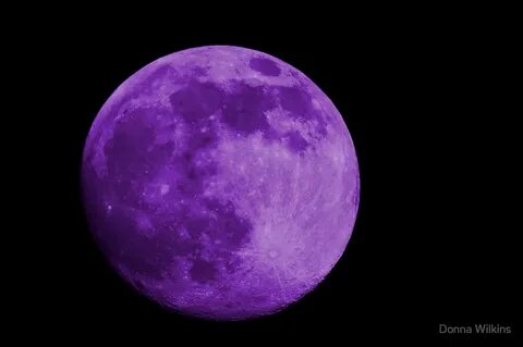 "Lavender Moon" by Donna Wilkins Redbubble