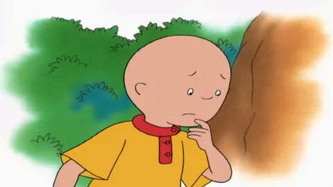 Show me a picture of caillou ♥ Cartoon Characters: More Caillou.