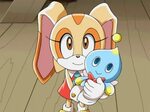 Cream the Rabbit Archie Comics Sonic Fanon Wiki Fandom
