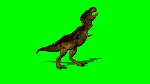 T-rex dinosaur runs - green screen effect - YouTube