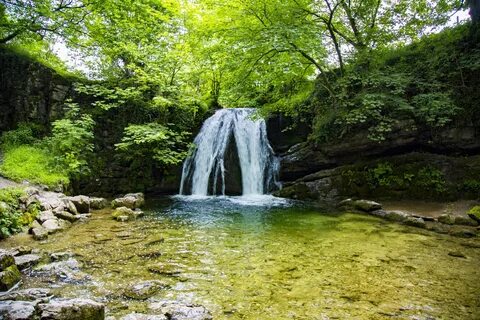 Download free photo of Landscape,waterfall,water,tree,trees 