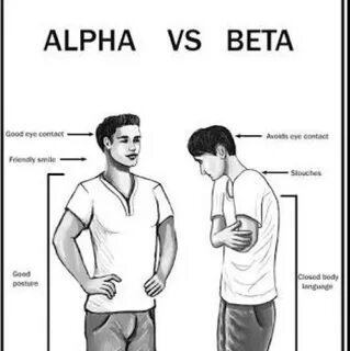 alfa erkek #1600652 - uludağ sözlük galeri