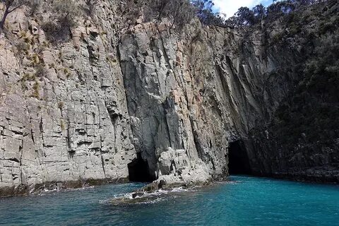 Чудеса Тасмании: Остров Бруни. Bruny Island, Tasmania - Под 