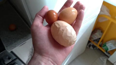 У курицы невкусные, странные яйца / асиенда.ру