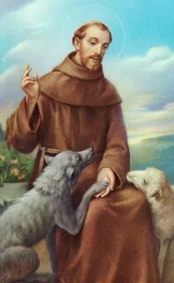 st francis of assisi - Google Search San francisco de asis, 