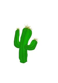 Cactus Clipart - ClipArt Best