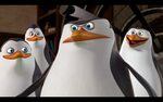 Worlds Best Skipper Expressions - Penguins of Madagascar lit
