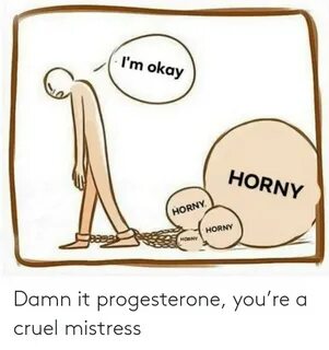 Damn It Progesterone You’re a Cruel Mistress Progesterone Me