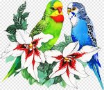 Bird Parrot Drawing Flower, hewan cat air, lukisan cat air, 