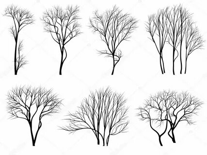 Silhouettes of trees without leaves. Stock Vector Image by ©