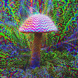 Mushrooms. Bill Tavis. Fractal - Album on Imgur