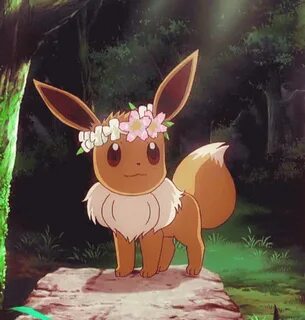 Out of Context Pokemon on Twitter Pokemon eevee, Pokemon eev