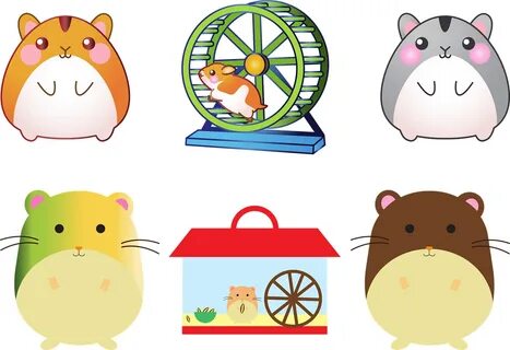 Hamster, pet, mouse, cage, hamster wheel - free image from needpix.com