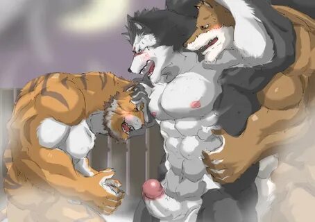 Xbooru - bara furry muscle tiger tongue wolf yaoi 360073