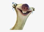 Sid The Sloth Transparent PNG - 480x522 - Free Download on N