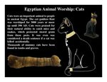 Why did the Ancient Egyptians worship Cats?
