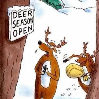 Pin by Patricia on Quotes Funny deer, Funny hunting pics, De