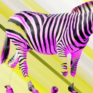 Pink Zebra by CartoonFood