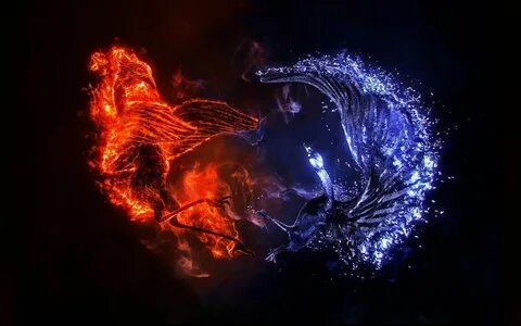 Ice And Fire Dragons Wallpapers Wallpapers - Most Popular Ic