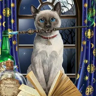 Lisa Parker Cat art, Black cat art, Magic cat