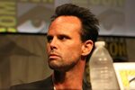 Pictures of Walton Goggins - Pictures Of Celebrities