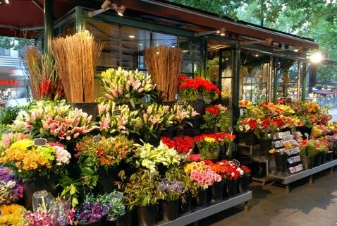 Flower Shop Online flower shop, Flower shop, Flower store