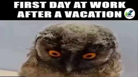 First Day Back To Work After Vacation Be Like This - YouTube