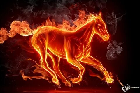 Скачать обои Огненный конь (Огонь, Лошадь, Конь) для рабочег