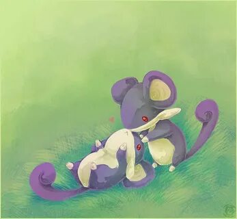 PKMN: Rattata Love by Zilleniose Pokemon, Cute pokemon, Devi