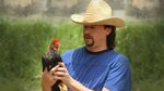 Eastbound and Down (S02E01): Chapter 7 Summary - Season 2 Ep