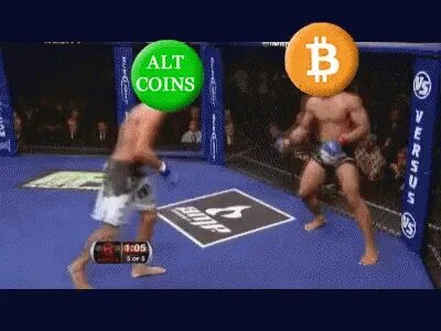 Altcoin Alts GIF - Altcoin Alts Winning - Discover & Share G