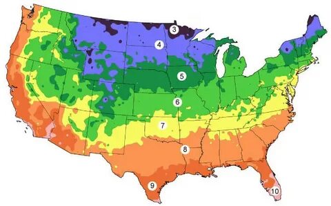 Garden Zone Map : Choosing Your Hop Variety Gardening zones,