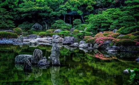 Японский сад камней сакура (40 фото) .