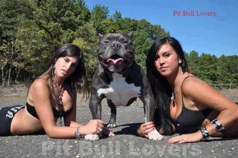 #pitbull #model #sexy #girls #pit #bully #women #dogs #dog B