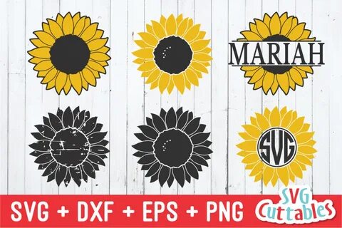 Sunflower Collection Spring SVG Cut File