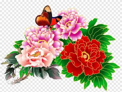 Free download Butterfly of flowers illustration, Peony Flora