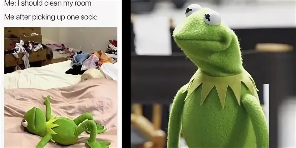 Kermit Meme : Kermit Meme Dump Pt. 2 ARMY's Amino - We did n
