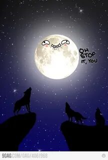 Moon loves wolves - Funny Funny pictures, Howl at the moon, 