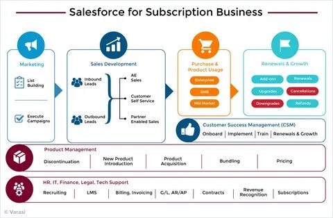 Salesforce for Subscription Business - Varasi