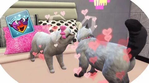 CAT WOOHOO! 100 Kitten Challenge #3 The Sims 4 - Cute Kitten