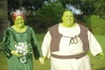 A Shrek-Themed Wedding 15 of the Most Bizarre Weddings in th
