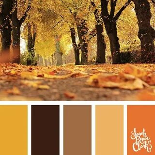 149 Best Autumn Color Palettes Images On Pinterest Fall Colo
