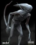 Exclusive: Xenomorph vs. Neomorph Alien: Covenant deleted sc