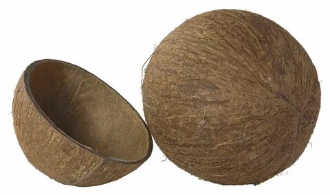 How to Make Cups From Coconut Shells eHow Coconut shell craf