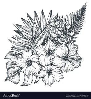 Composition of hand drawn tropical flowers Vector Image