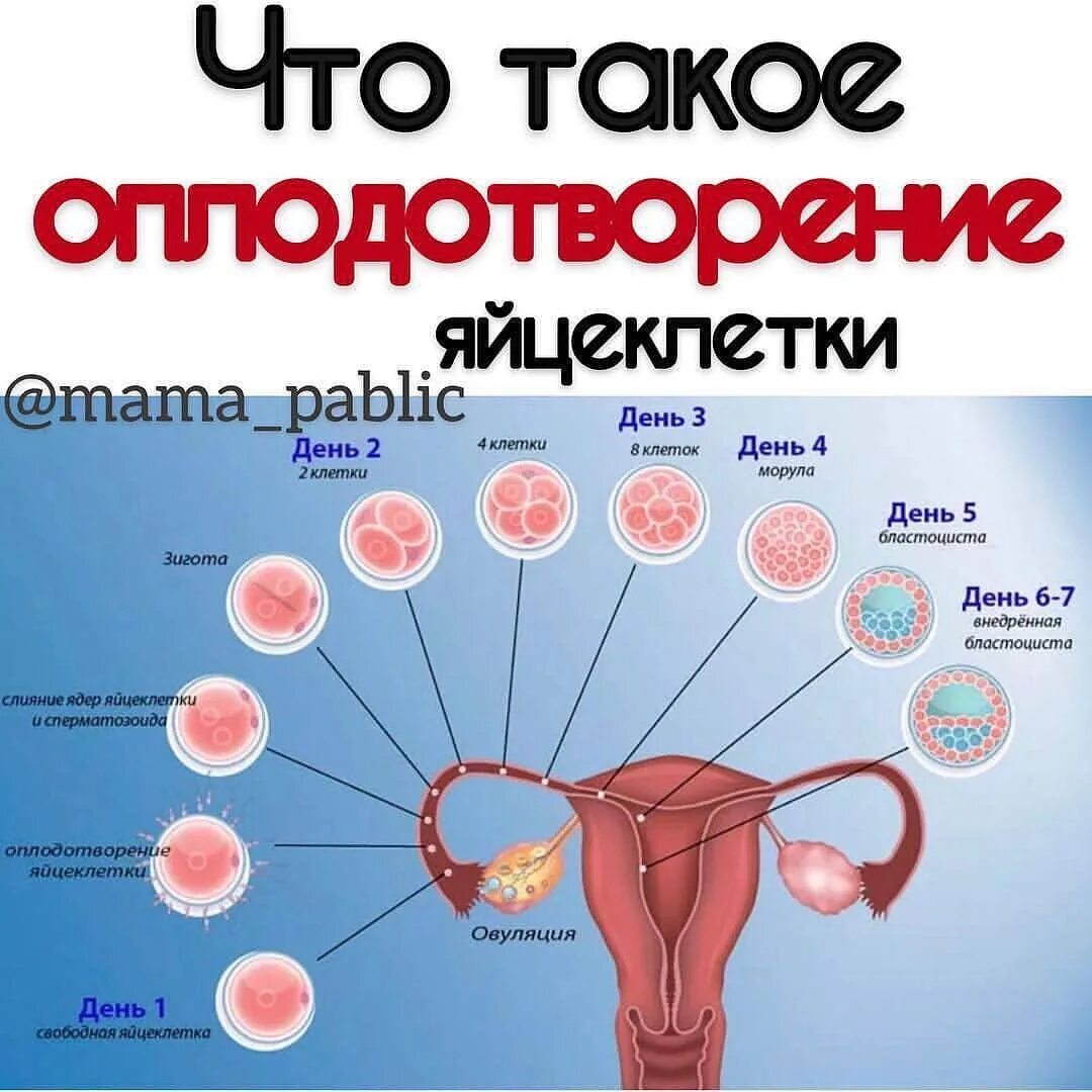 планирование беременности и оргазм фото 37