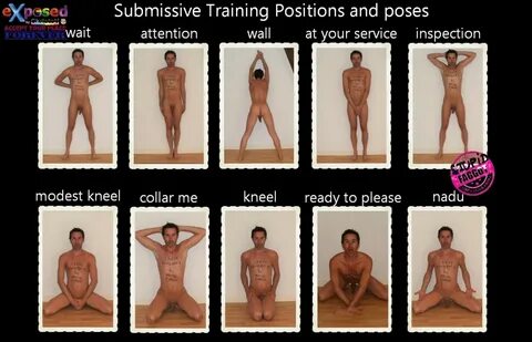 Submissive training poses 🌈 slave michael (@slavemichael9) Twitter (@GoddessOfki
